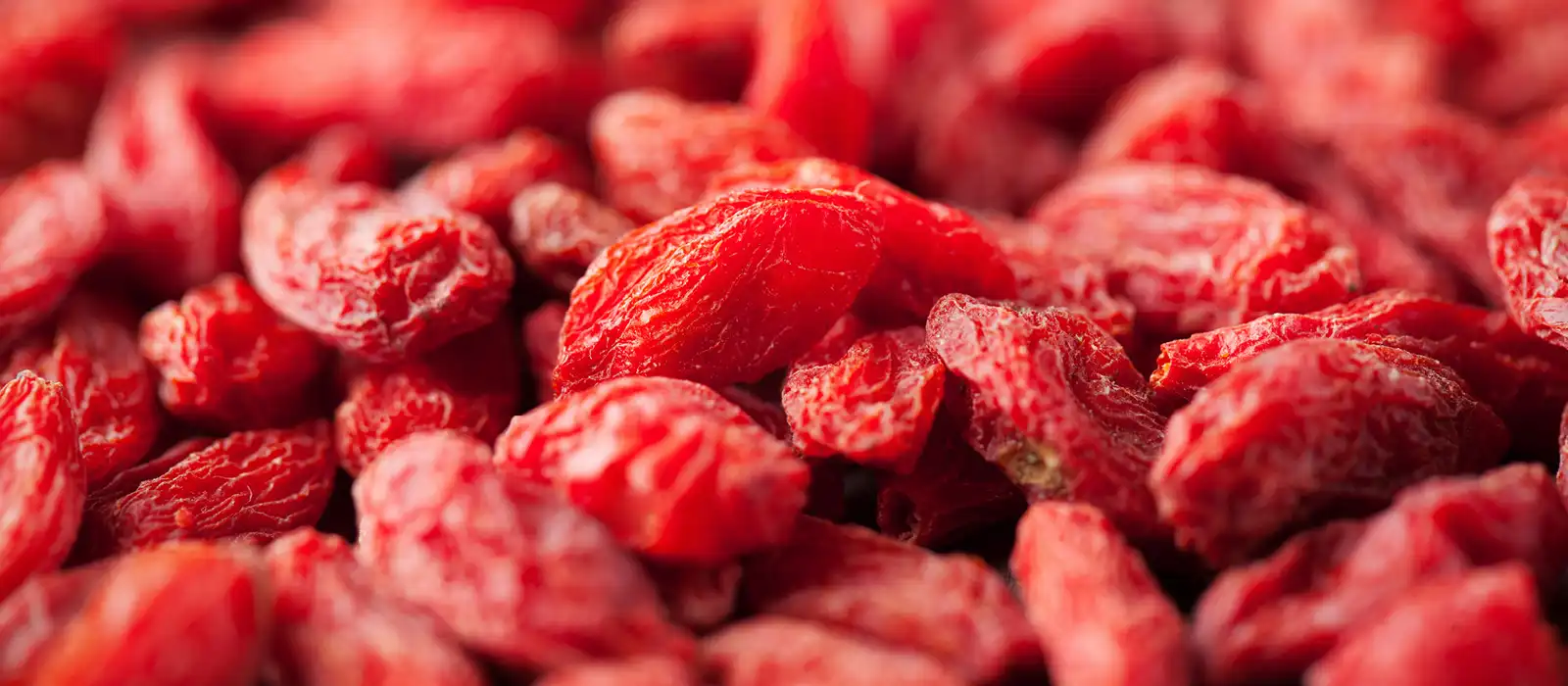 Vibrant red goji berries