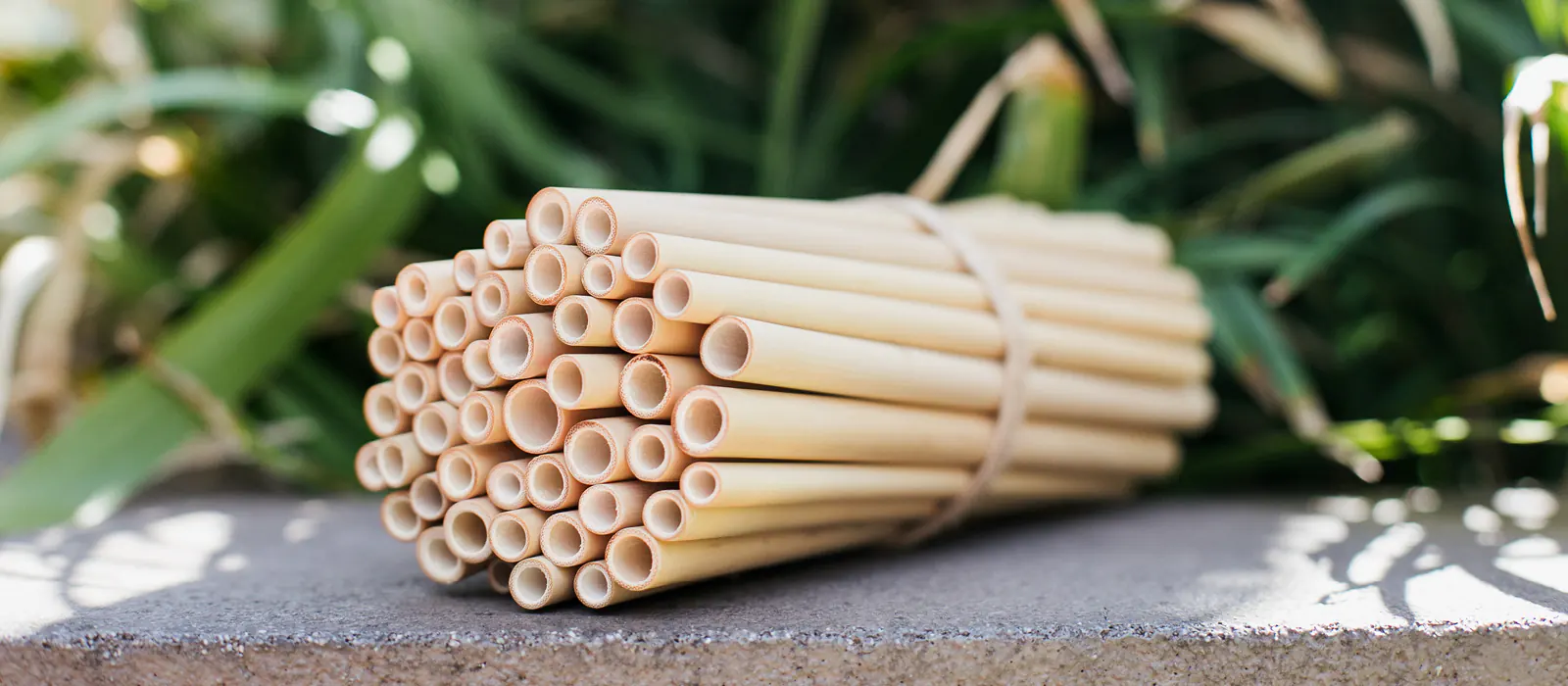 A bundle of Bamboo Straws