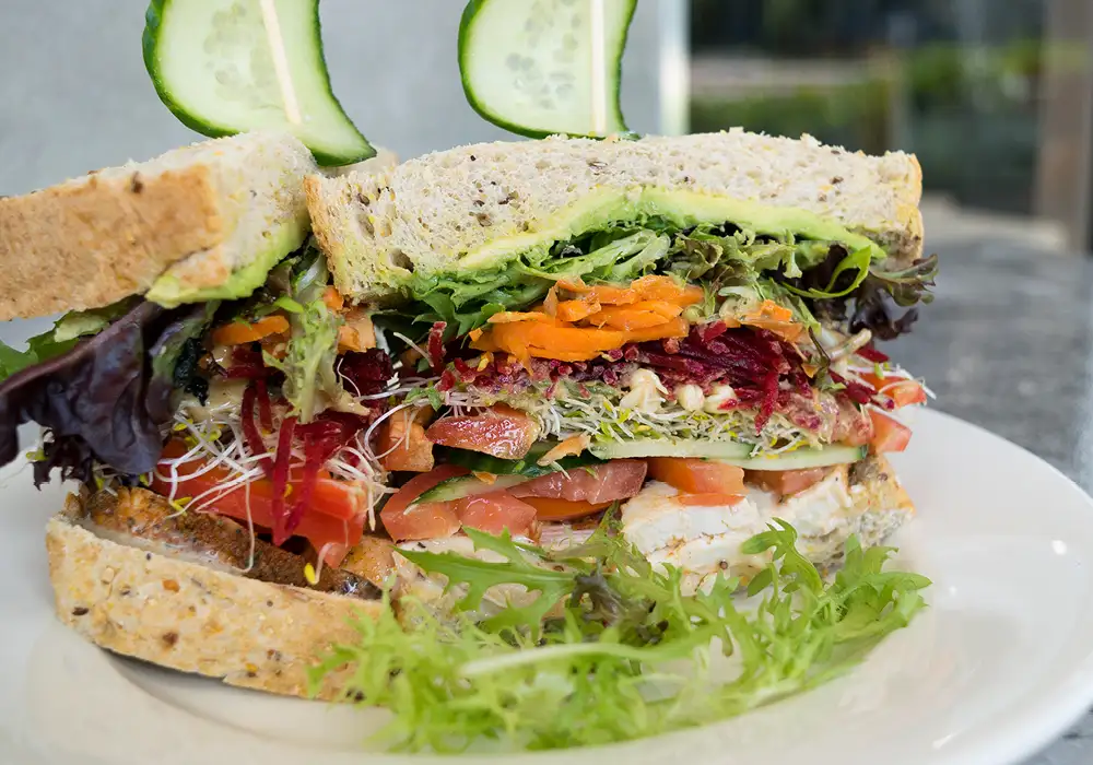Chicken and salad Sandwich on multigrain bread